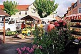 Grüner Markt